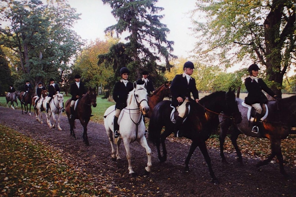 Hampton Inn By Hilton Geneseo Main image