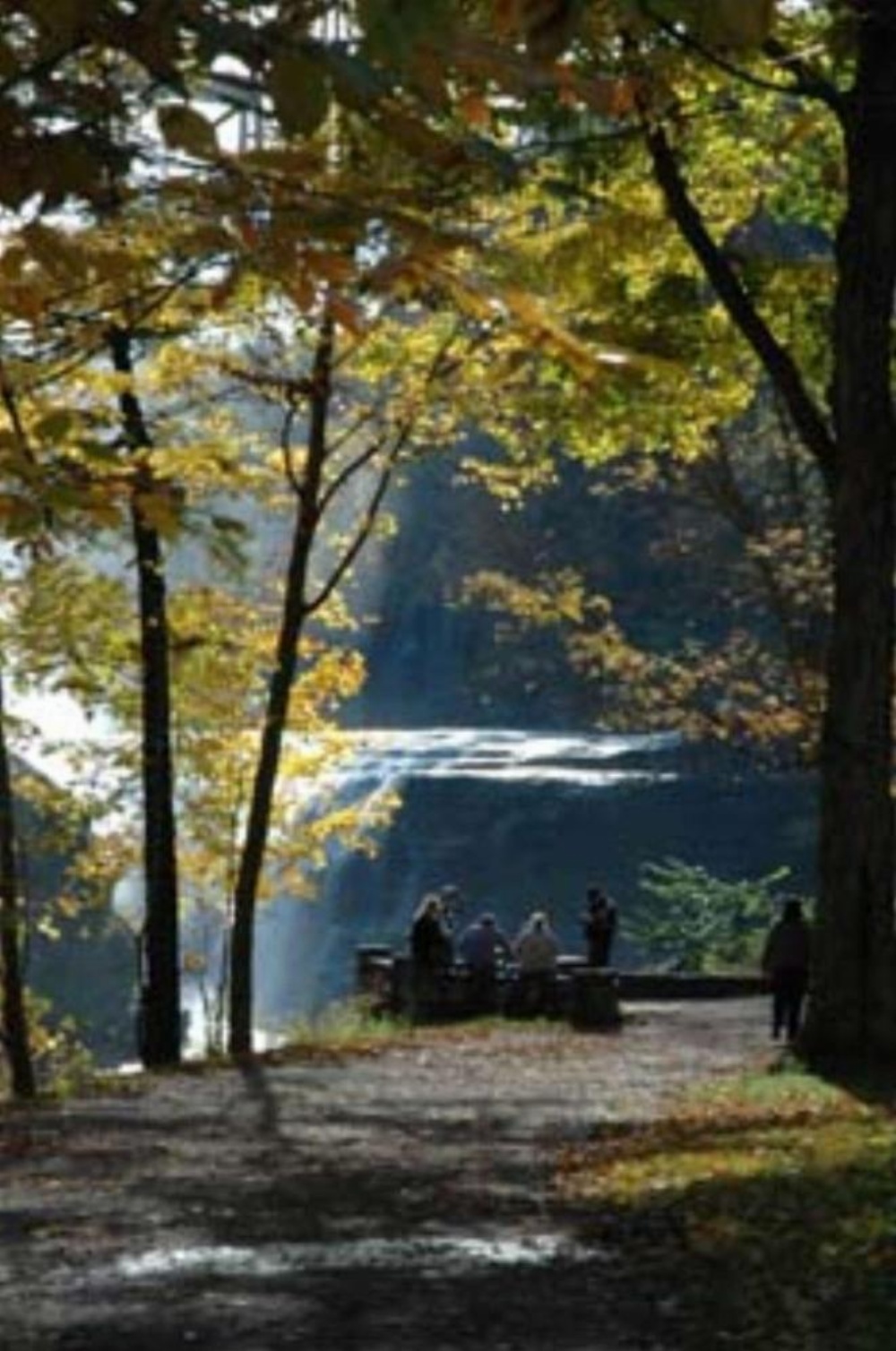 Hampton Inn By Hilton Geneseo